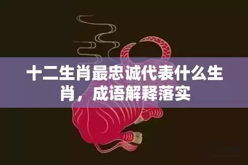 十二生肖最忠诚代表什么生肖，成语解释落实插图