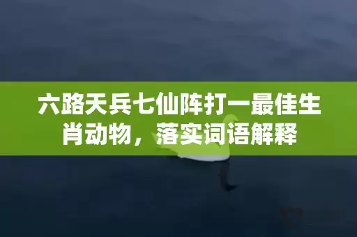 六路天兵七仙阵打一最佳生肖动物，落实词语解释插图