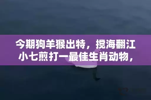 今期狗羊猴出特，搅海翻江小七煎打一最佳生肖动物，落实词语解释插图