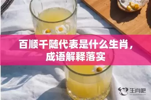 百顺千随代表是什么生肖，成语解释落实插图