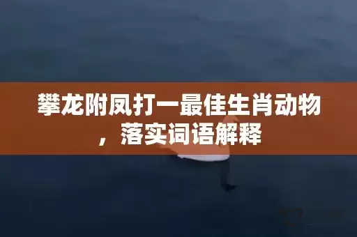 攀龙附凤打一最佳生肖动物，落实词语解释插图