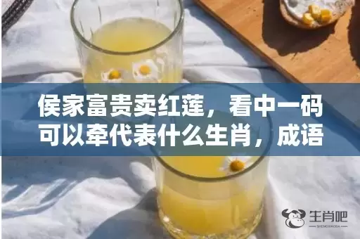 侯家富贵卖红莲，看中一码可以牵代表什么生肖，成语解释落实插图