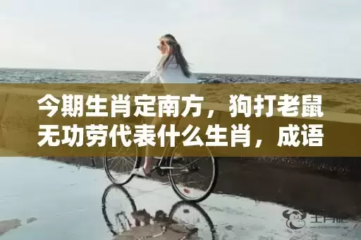 今期生肖定南方，狗打老鼠无功劳代表什么生肖，成语解释落实插图