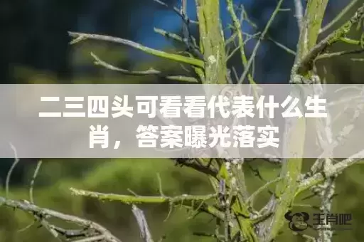 二三四头可看看代表什么生肖，答案曝光落实插图