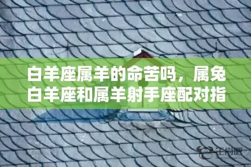 白羊座属羊的命苦吗，属兔白羊座和属羊射手座配对指数分析插图