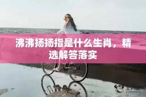 沸沸扬扬指是什么生肖，精选解答落实插图