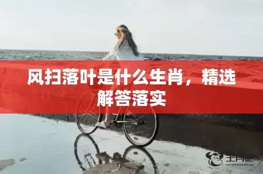 风扫落叶是什么生肖，精选解答落实插图