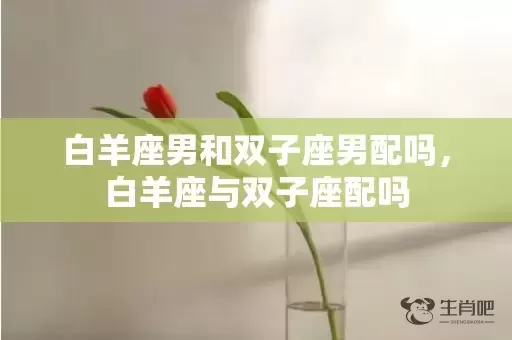 白羊座男和双子座男配吗，白羊座与双子座配吗插图