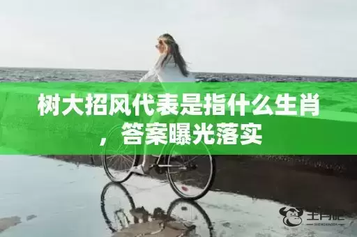 树大招风代表是指什么生肖，答案曝光落实插图