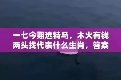 一七今期选特马，木火有钱两头找代表什么生肖，答案曝光落实插图