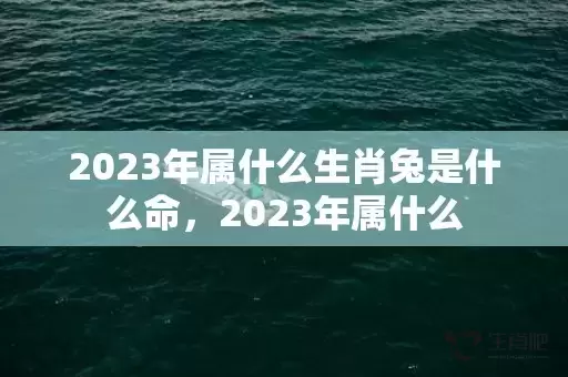 2023年属什么生肖兔是什么命，2023年属什么插图