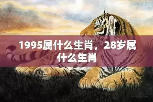 1995属什么生肖，28岁属什么生肖插图