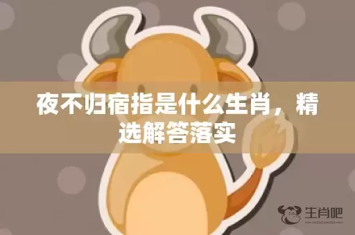 夜不归宿指是什么生肖，精选解答落实插图