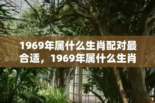 1969年属什么生肖配对最合适，1969年属什么生肖插图