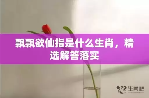 飘飘欲仙指是什么生肖，精选解答落实插图