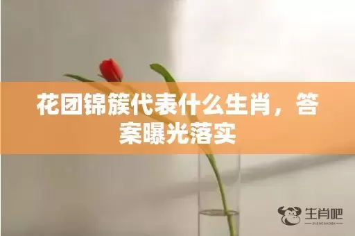 花团锦簇代表什么生肖，答案曝光落实插图