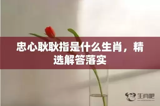 忠心耿耿指是什么生肖，精选解答落实插图