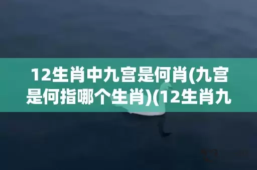 12生肖中九宫是何肖(九宫是何指哪个生肖)(12生肖九宫是什么教)插图