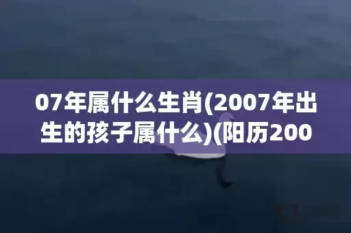 07年属什么生肖(2007年出生的孩子属什么)(阳历2007年属什么生肖)插图