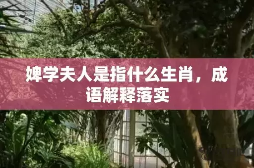 婢学夫人是指什么生肖，成语解释落实插图