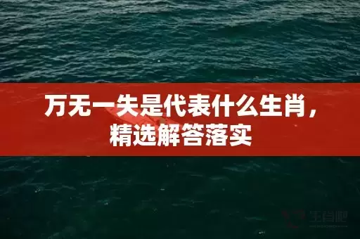 万无一失是代表什么生肖，精选解答落实插图