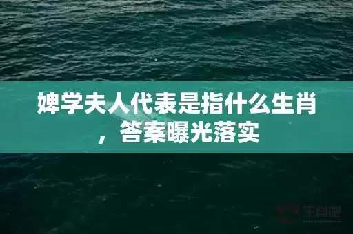 婢学夫人代表是指什么生肖，答案曝光落实插图