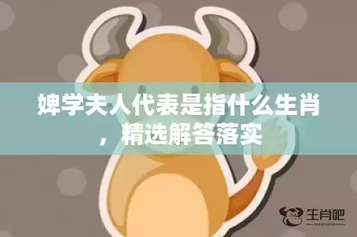 婢学夫人代表是指什么生肖，精选解答落实插图