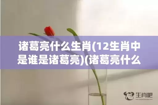 诸葛亮什么生肖(12生肖中是谁是诸葛亮)(诸葛亮什么生肖?)插图