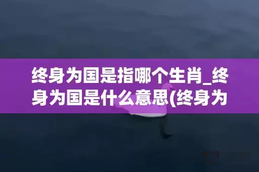 终身为国是指哪个生肖_终身为国是什么意思(终身为国是指什么生肖)插图