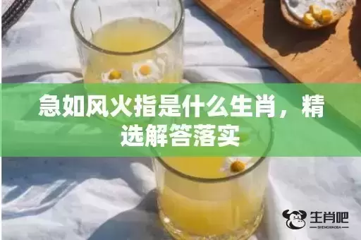 急如风火指是什么生肖，精选解答落实插图