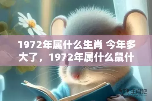 1972年属什么生肖 今年多大了，1972年属什么鼠什么命插图