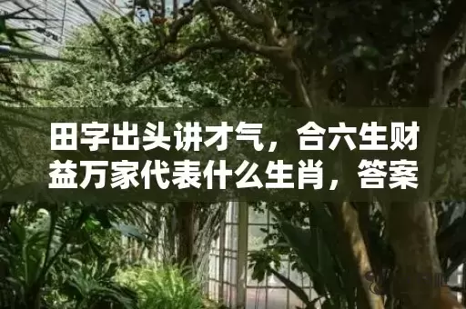 田字出头讲才气，合六生财益万家代表什么生肖，答案曝光落实插图