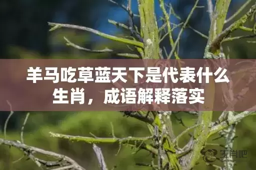 羊马吃草蓝天下是代表什么生肖，成语解释落实插图