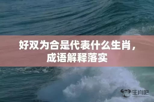 好双为合是代表什么生肖，成语解释落实插图