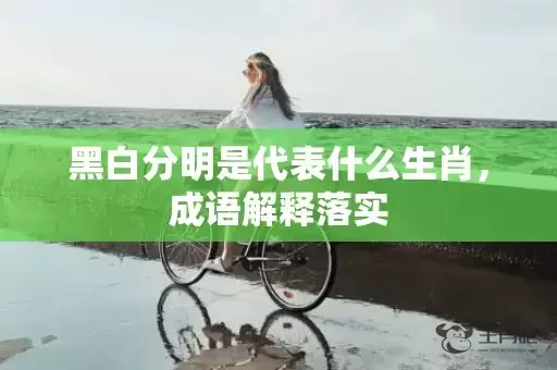 黑白分明是代表什么生肖，成语解释落实插图