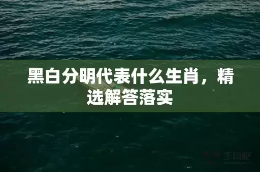 黑白分明代表什么生肖，精选解答落实插图