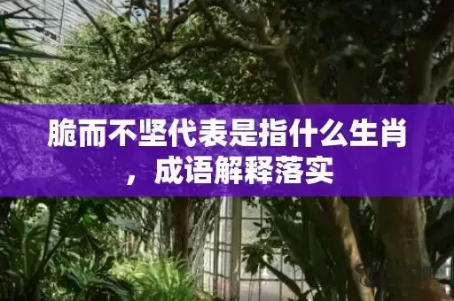 脆而不坚代表是指什么生肖，成语解释落实插图