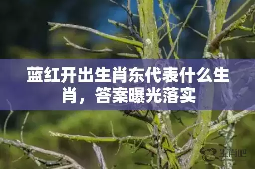 蓝红开出生肖东代表什么生肖，答案曝光落实插图