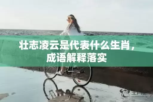 壮志凌云是代表什么生肖，成语解释落实插图