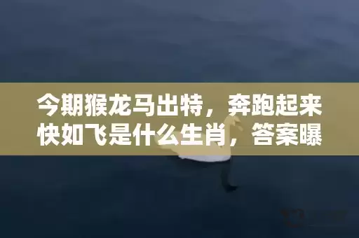 今期猴龙马出特，奔跑起来快如飞是什么生肖，答案曝光落实插图