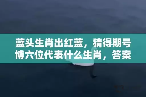 蓝头生肖出红蓝，猜得期号博六位代表什么生肖，答案曝光落实插图