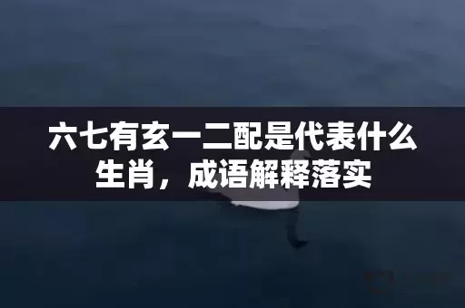 六七有玄一二配是代表什么生肖，成语解释落实插图