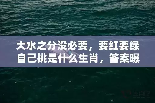 大水之分没必要，要红要绿自己挑是什么生肖，答案曝光落实插图