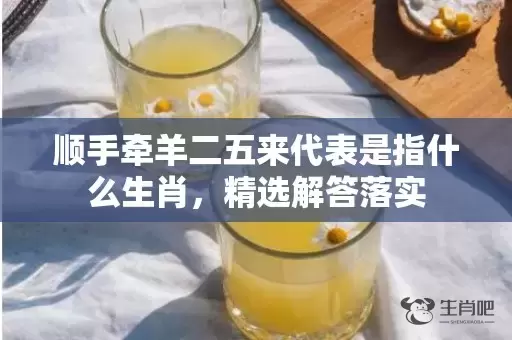 顺手牵羊二五来代表是指什么生肖，精选解答落实插图