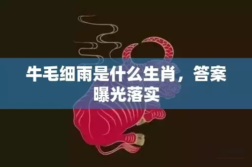 牛毛细雨是什么生肖，答案曝光落实插图