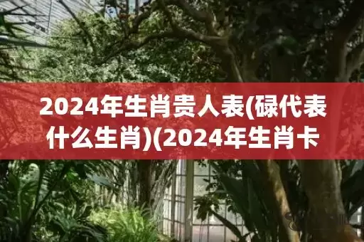 2024年生肖贵人表(碌代表什么生肖)(2024年生肖卡)插图