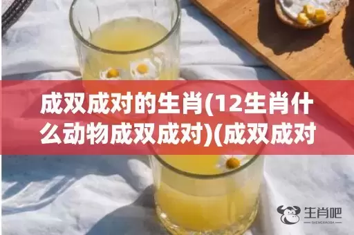 成双成对的生肖(12生肖什么动物成双成对)(成双成对的生肖动物是什么)插图