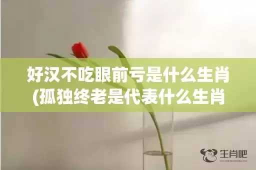 好汉不吃眼前亏是什么生肖(孤独终老是代表什么生肖)(好汉不吃眼前亏是俗语还是谚语)插图