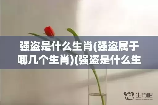 强盗是什么生肖(强盗属于哪几个生肖)(强盗是什么生肖?)插图