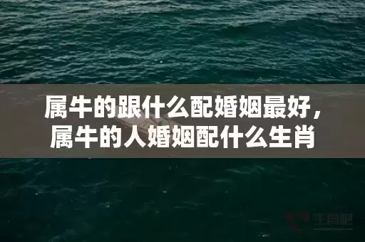 属牛的跟什么配婚姻最好，属牛的人婚姻配什么生肖插图